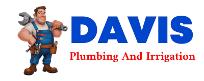 Trusted plumber in YELLOW PINE